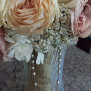 Meet your Posher, Jan